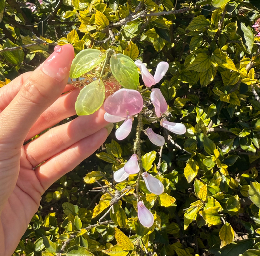 Wisteria Hair CLIP