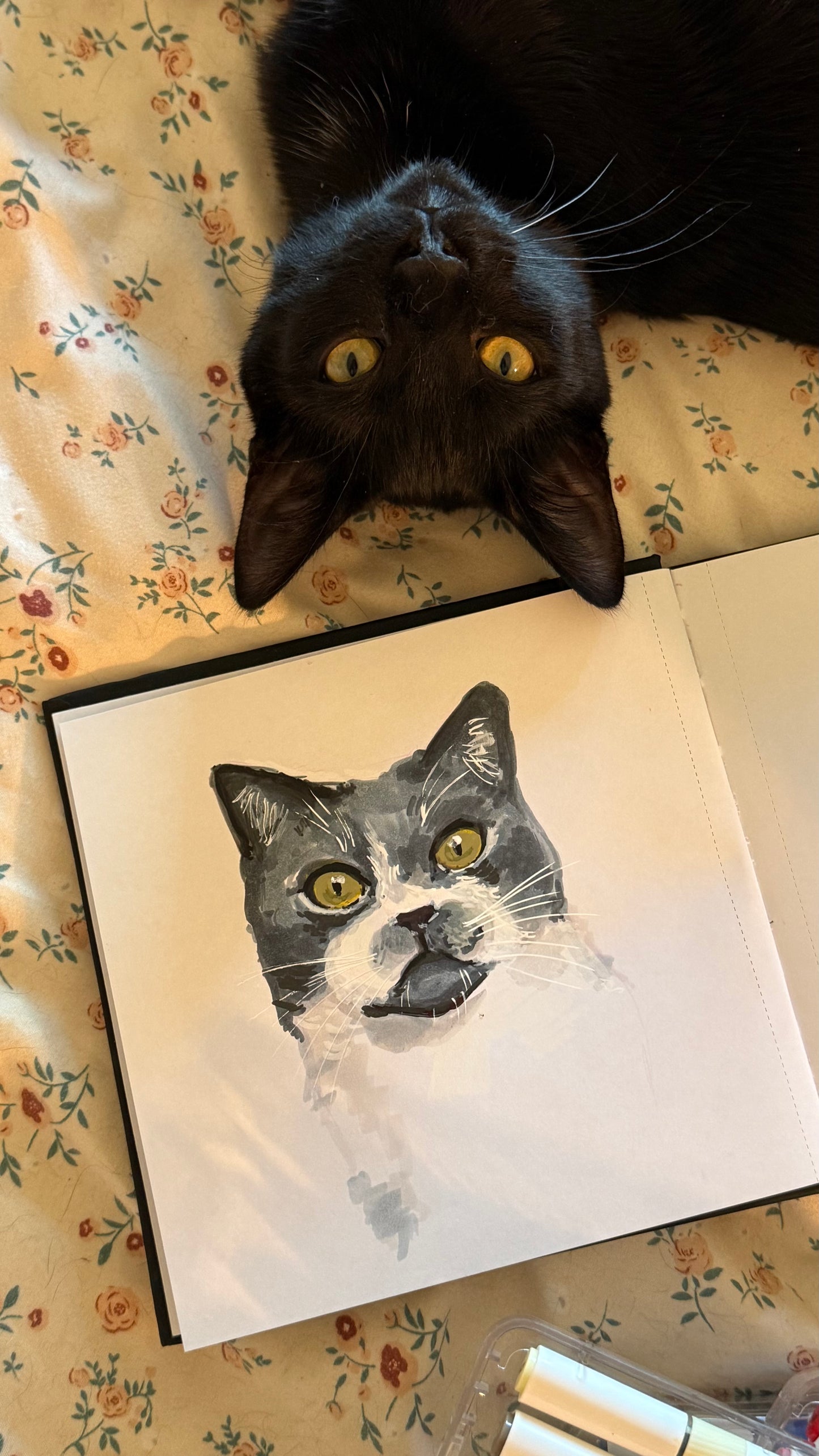 6x8 Single Cat Portrait Commission