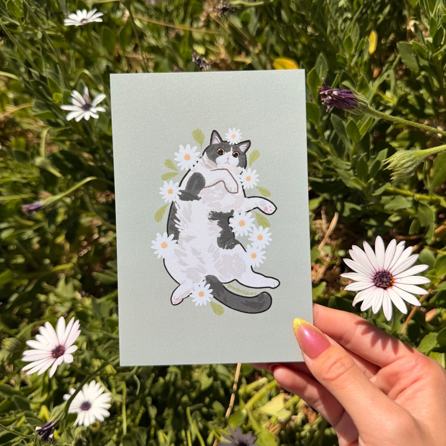 4x6 Flower cat postcards
