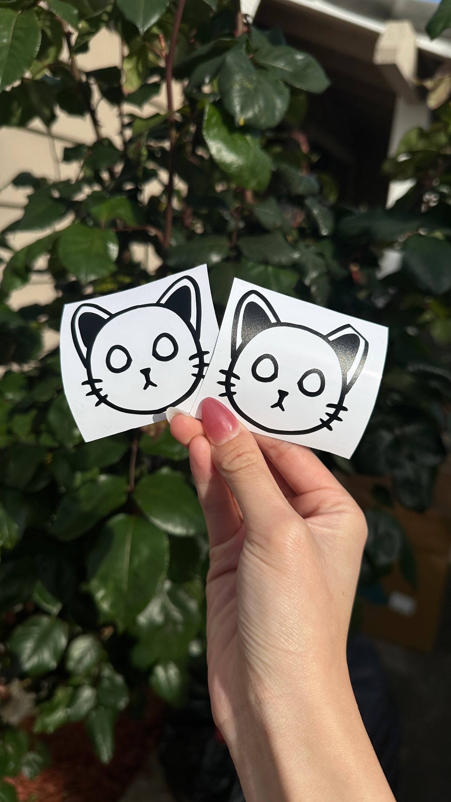 Rescue Kitty Vinyl Decal