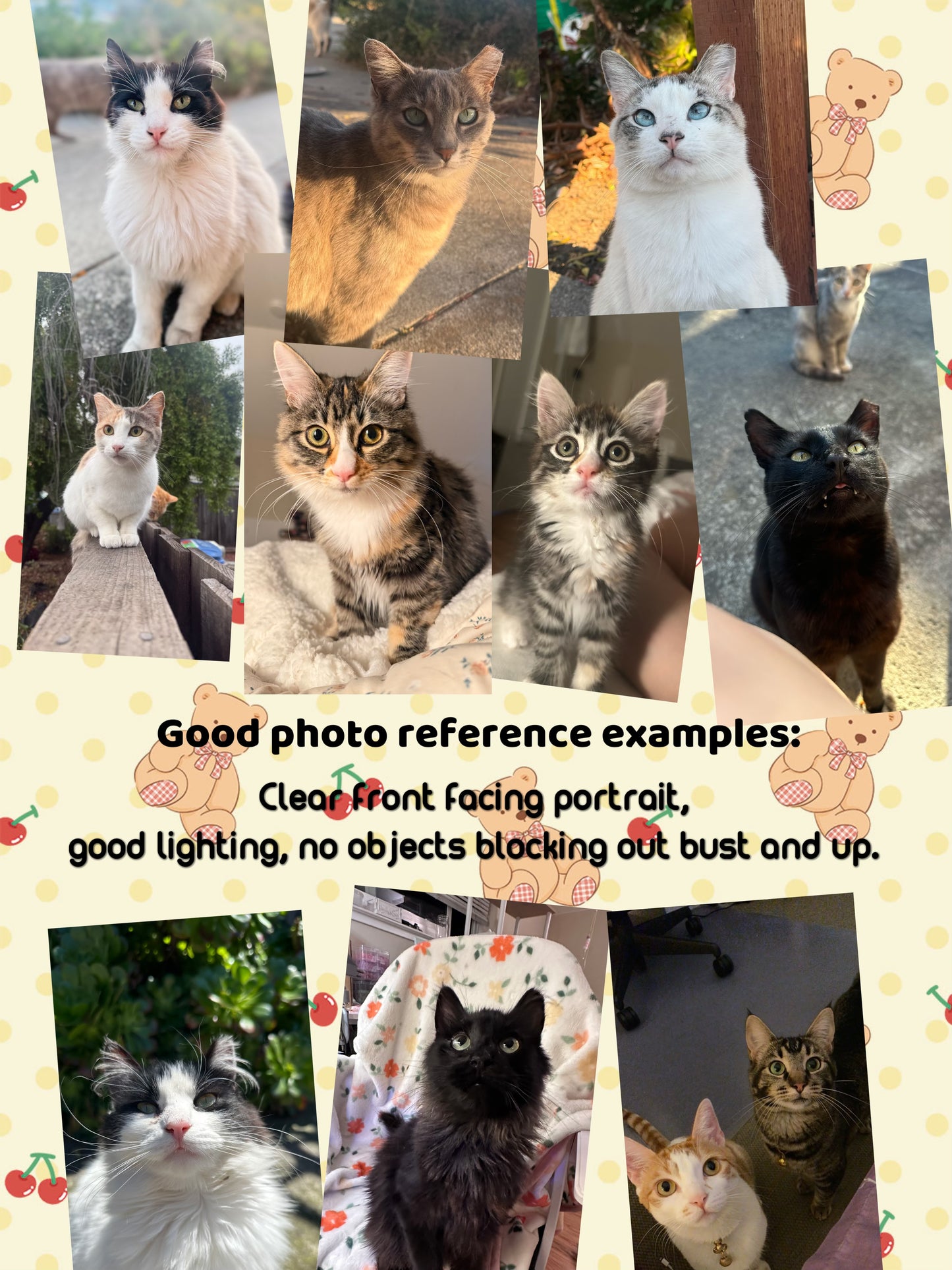 6x8 Single Cat Portrait Commission