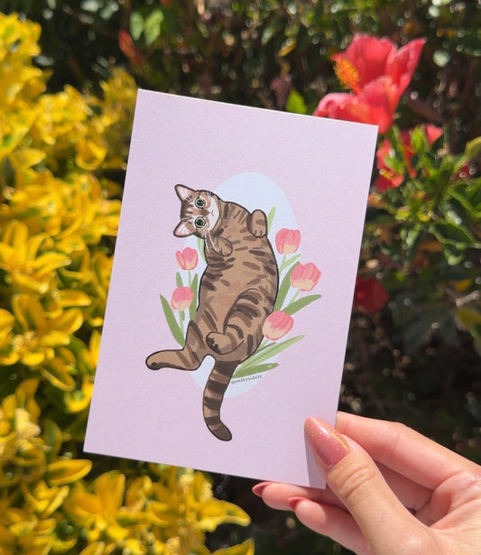 4x6 Flower cat postcards