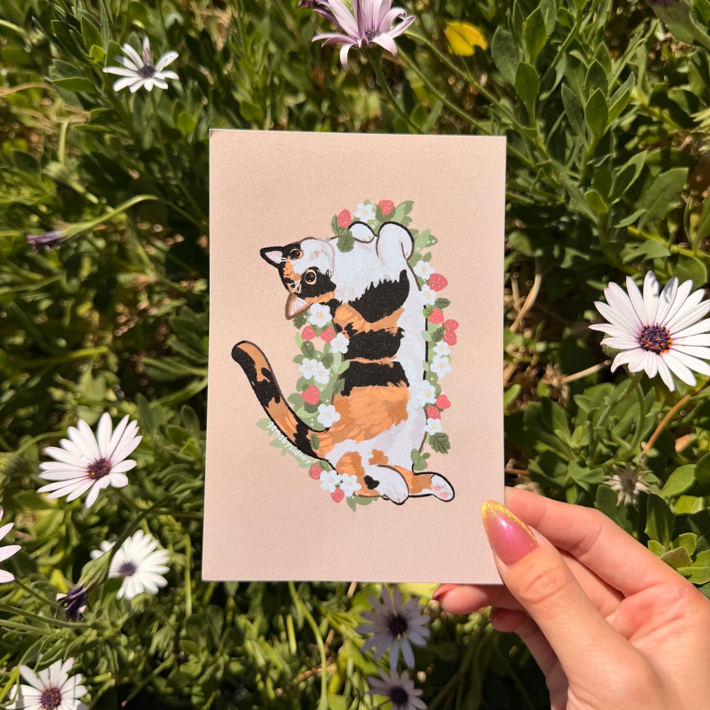 4x6 Flower cat postcards