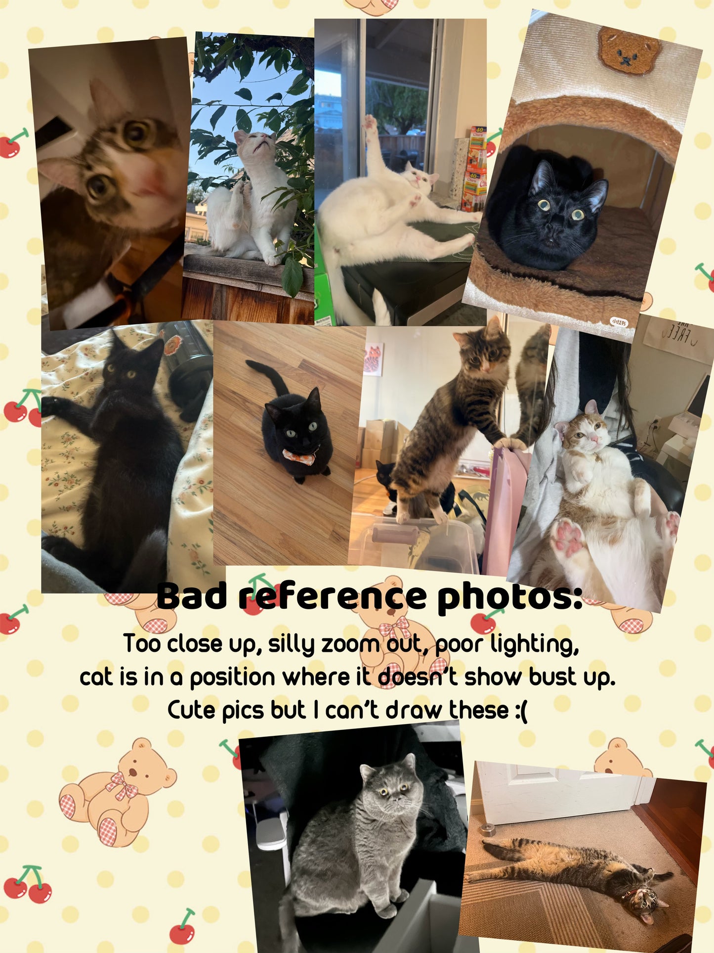 6x8 Single Cat Portrait Commission
