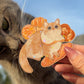 Bread Cat Sticker