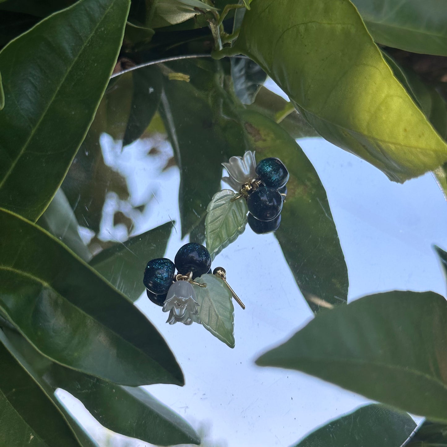 Blueberry studs