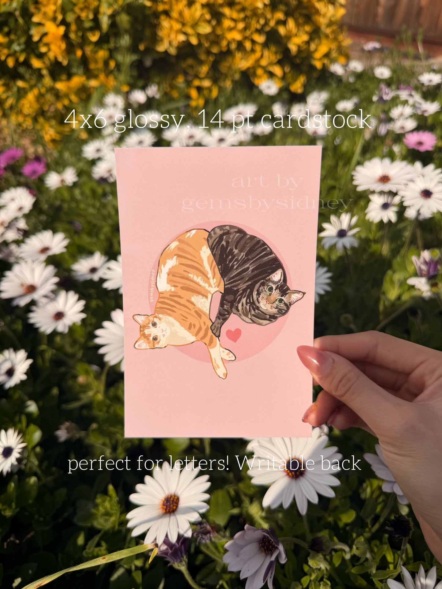 Cute Cats Art Print 4x6