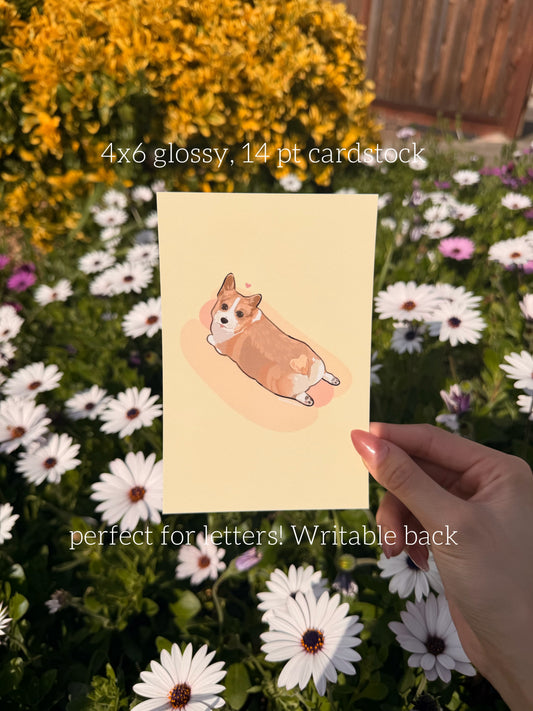 Cute Corgi Art Print 4x6