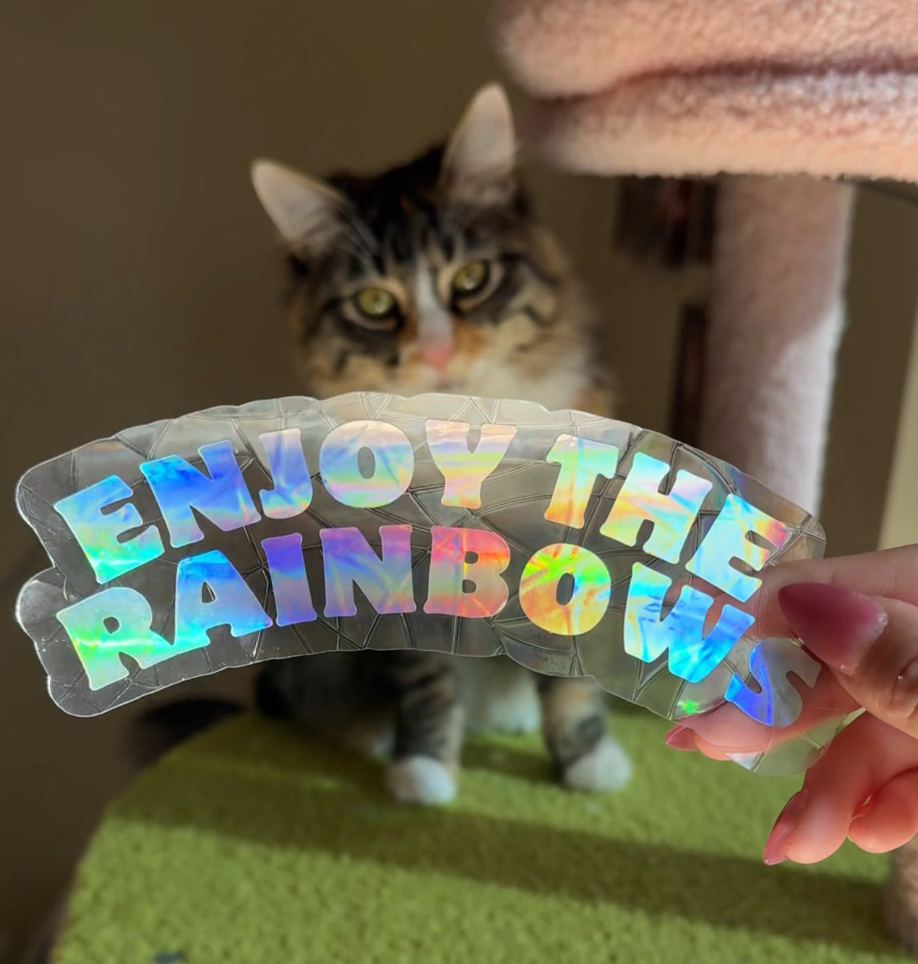 Enjoy the Rainbows Suncatcher Sticker